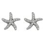 Brinco-Estrela-do-Mar-com-Zirconias-em-Prata-