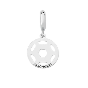 Pingente Agronomia em Prata Pingente Agronomia em Prata